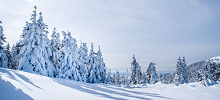 Tore Steyr